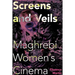 Screens and Veils: Maghrebi Women's Cinema