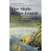 The State in the Forest: Contested Commons in the Nineteenth Century Venetian Alps