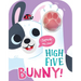 High Five Bunny! a Count-And-Squeak Book