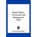 Black Walnut: Its Growth And Management (1921)