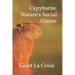 Capybaras: Nature's Social Giants