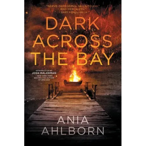 Dark Across the Bay