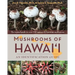 Mushrooms of Hawai'i: An Identification Guide