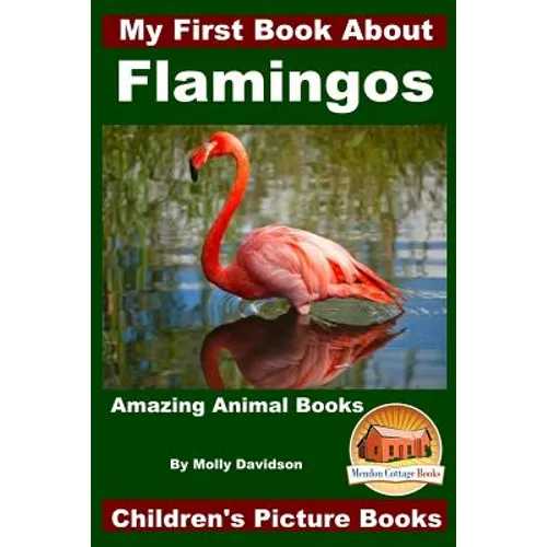 My First Book About Flamingos - Amazing Animal Books - Children's Picture Books