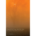 Out of the Fog, Into the Sun