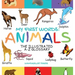 My First Words: The Illustrated A-Z Glossary Of The Animal Kingdom For Preschoolers