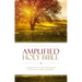 Amplified Bible-Am: Captures the Full Meaning Behind the Original Greek and Hebrew