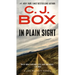 In Plain Sight