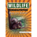 Wildlife Rehabilitation