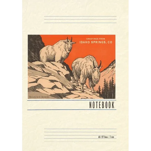 Vintage Lined Notebook Greetings from Idaho Springs