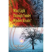 What Light Through Yonder Window Breaks?: More Experiments in Atmospheric Physics
