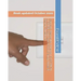 Colorado Residential Wireman ELECTRICAL LICENSE Exam ExamFOCUS Study Notes & Review Questions