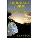 Abundant Living on Low Income