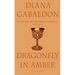 Dragonfly in Amber