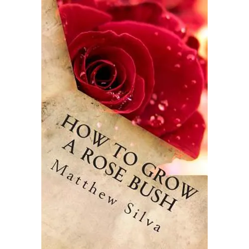 How To Grow A Rose Bush