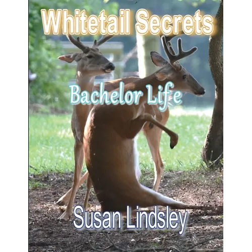 Whitetail Secrets: Bachelor Life