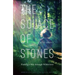 Solace of Stones: Finding a Way Through Wilderness