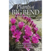 Plants of Big Bend National Park: A Guide to the Trees, Shrubs, Wildflowers, Cacti, and Ferns of the Big Bend Region of Texas
