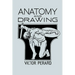 Anatomy and Drawing