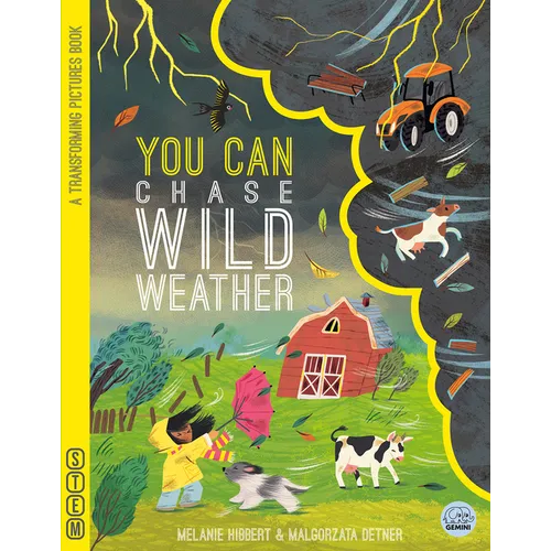 You Can Chase Wild Weather
