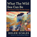 What the Wild Sea Can Be: The Future of the World's Ocean
