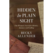 Hidden In Plain Sight: One Woman's Search for Identity, Intimacy and Calling