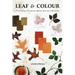 Leaf and Colour: Eco-printing and natural dyeing with soy milk binder
