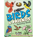 Birds & Friends Activity Book: An Introduction to Backyard Birds for Kids