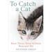 To Catch a Cat: How Three Stray Kittens Rescued Me