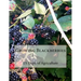 Growing Blackberries