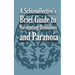 A Schizoaffective's Brief Guide to Navigating Delusions and Paranoia