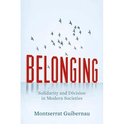 Belonging: Solidarity and Division in Modern Societies