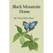 Black Mountain Home
