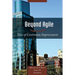 Beyond Agile: Tales of Continuous Improvement