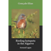 Birding hotspots in the Algarve: Around Lagos