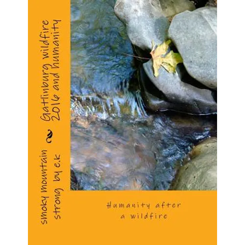 Gatlinburg wildfire 2016 and humanity: Humanity after a wildfire