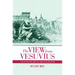 The View from Vesuvius: Italian Culture and the Southern Question Volume 46