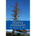 Deeply Damaged: An Explanation for the Profound Problems Arising from Aborting Babies and Abusing Children