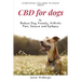 CBD For Dogs: To Reduce Dog Anxiety, Arthritis Pain, Seizure and Epilepsy