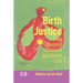 Birth Justice: From Obstetric Violence to Abolitionist Care