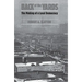 Back of the Yards: The Making of a Local Democracy
