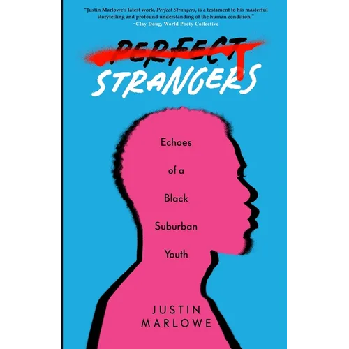 Perfect Strangers: Echoes of a Black Suburban Youth