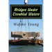 Bridges Under Troubled Waters: Upper Chesapeake and Tidal Potomac Fishing Reefs
