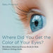 Where Did You Get the Color of Your Eyes? - Hereditary Patterns Science Book for Kids Children's Biology Books