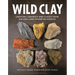 Wild Clay: Creating Ceramics and Glazes from Natural and Found Resources