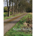 Stane Street: From Chichester to London