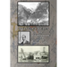 Bulkeley Wells And The Uncertain Luck Of The Mining Game