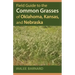 Field Guide to the Common Grasses of Oklahoma, Kansas, and Nebraska