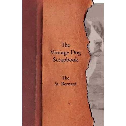 The Vintage Dog Scrapbook - The St. Bernard