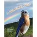 A Bluebird's Tale
